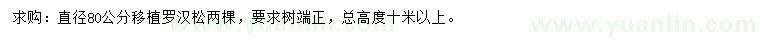 求購直徑80公分羅漢松