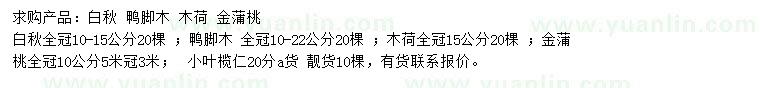求購白秋、鴨腳木、木荷等