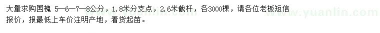 求購5-8公分國槐