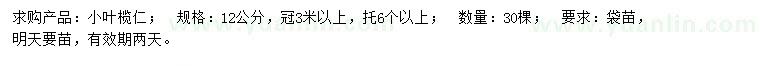 求購(gòu)12公分小葉欖仁