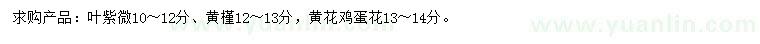 求購(gòu)紫薇、黃槿、黃花雞蛋花