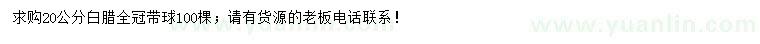 求購20公分白臘