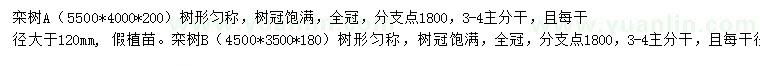 求購(gòu)欒樹(shù)
