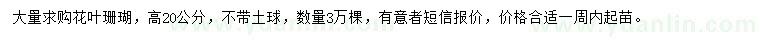 求購高20公分花葉珊瑚