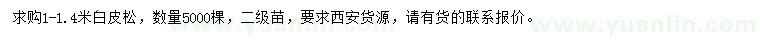 求購1-1.4米白皮松