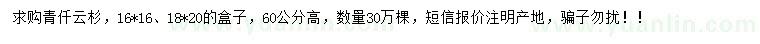 求購高60公分青仟云杉