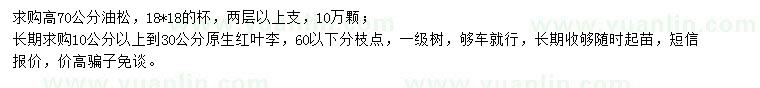 求購高70公分油松、10-30公分紅葉李