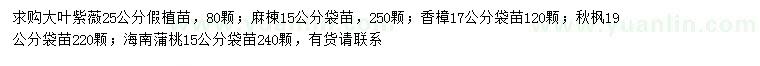 求購大葉紫薇、麻楝、香樟等