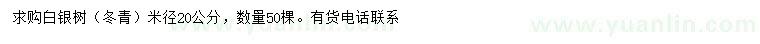 求購(gòu)米徑20公分白銀樹（冬青）