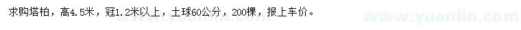 求購(gòu)高4.5米塔柏