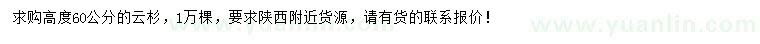 求購(gòu)高60公分云杉