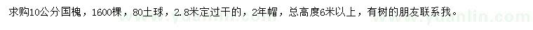 求購10公分國槐