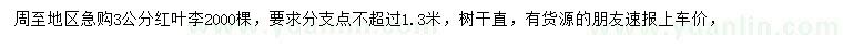 求購3公分紅葉李