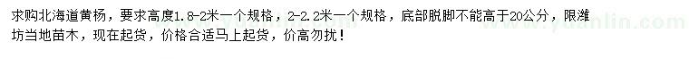 求購高1.8-2、2-2.2米北海道黃楊