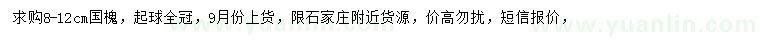求購8-12公分國槐