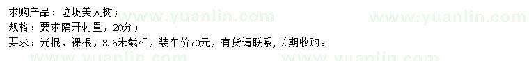 求購20公分垃圾美人樹