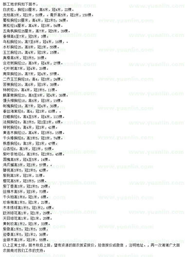 求購白皮松、龍柏、青扦等