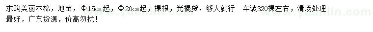 求購15、20公分美麗木棉