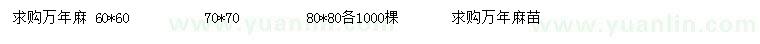 求購60*60、70*70、80*80公分萬年麻