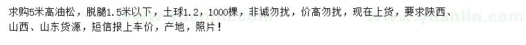 求購高5米油松