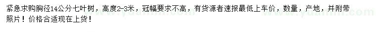 求購胸徑14公分七葉樹