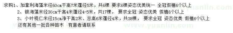 求購(gòu)加那利海棗、銀海棗、小葉欖仁