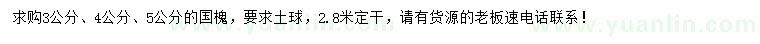 求購3、4、5公分國槐