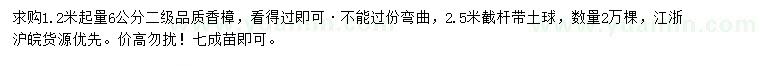 求購1.2米量6公分光桿香樟