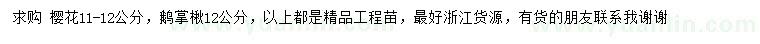 求購(gòu)11-12公分櫻花、12公分鵝掌楸