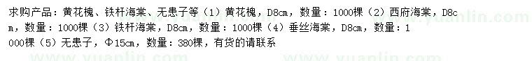求購(gòu)黃花槐、西府海棠、鐵桿海棠等