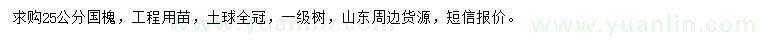 求購25公分國槐