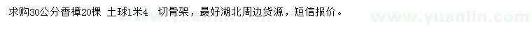 求購30公分香樟