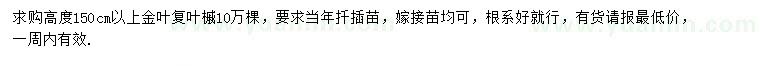 求購高150公分以上金葉復葉槭
