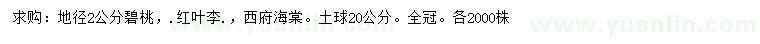 求購碧桃、紅葉李、西府海棠