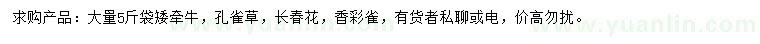 求購矮牽牛、孔雀草、長春花等