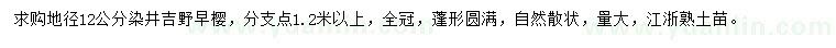 求購染井吉野早櫻