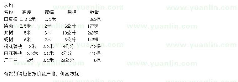 求購白皮松、紫薇、欒樹等
