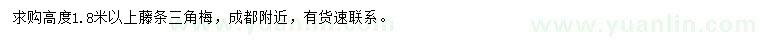 求購高度1.8米以上藤條三角梅