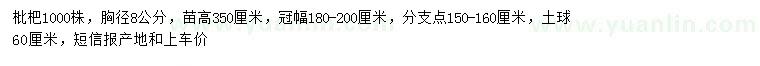 求購胸徑8公分枇杷樹