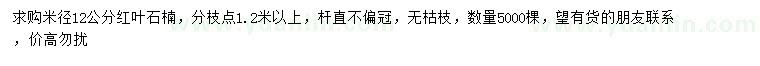 求購米徑12公分紅葉石楠