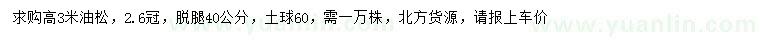 求購高3米油松