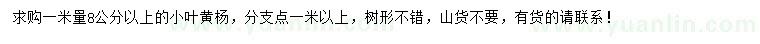 求購1米量8公分以上小葉黃楊