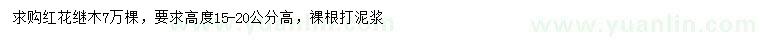求購高15-20公分紅花繼木