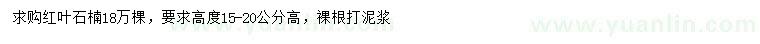 求購(gòu)高15-20公分紅葉石楠