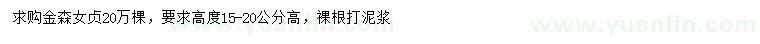 求購高15-20公分金森女貞