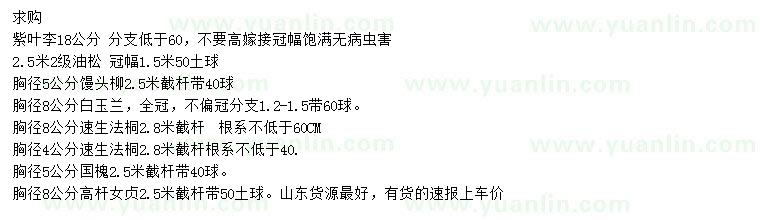 求購(gòu)紫葉李、油松、饅頭柳等