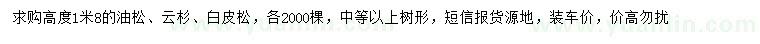 求購油松、云杉、白皮松