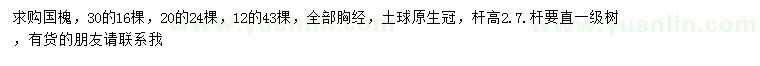 求購胸徑12、20、30公分國槐