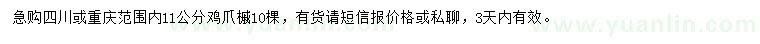 求購11公分雞爪槭