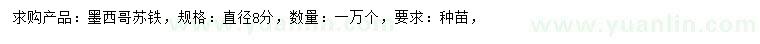 求購直徑8公分墨西哥蘇鐵